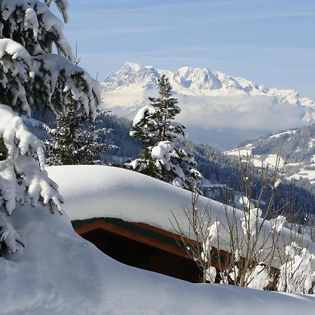 Chalets Ebner Eben Im Pongau Bagian luar foto
